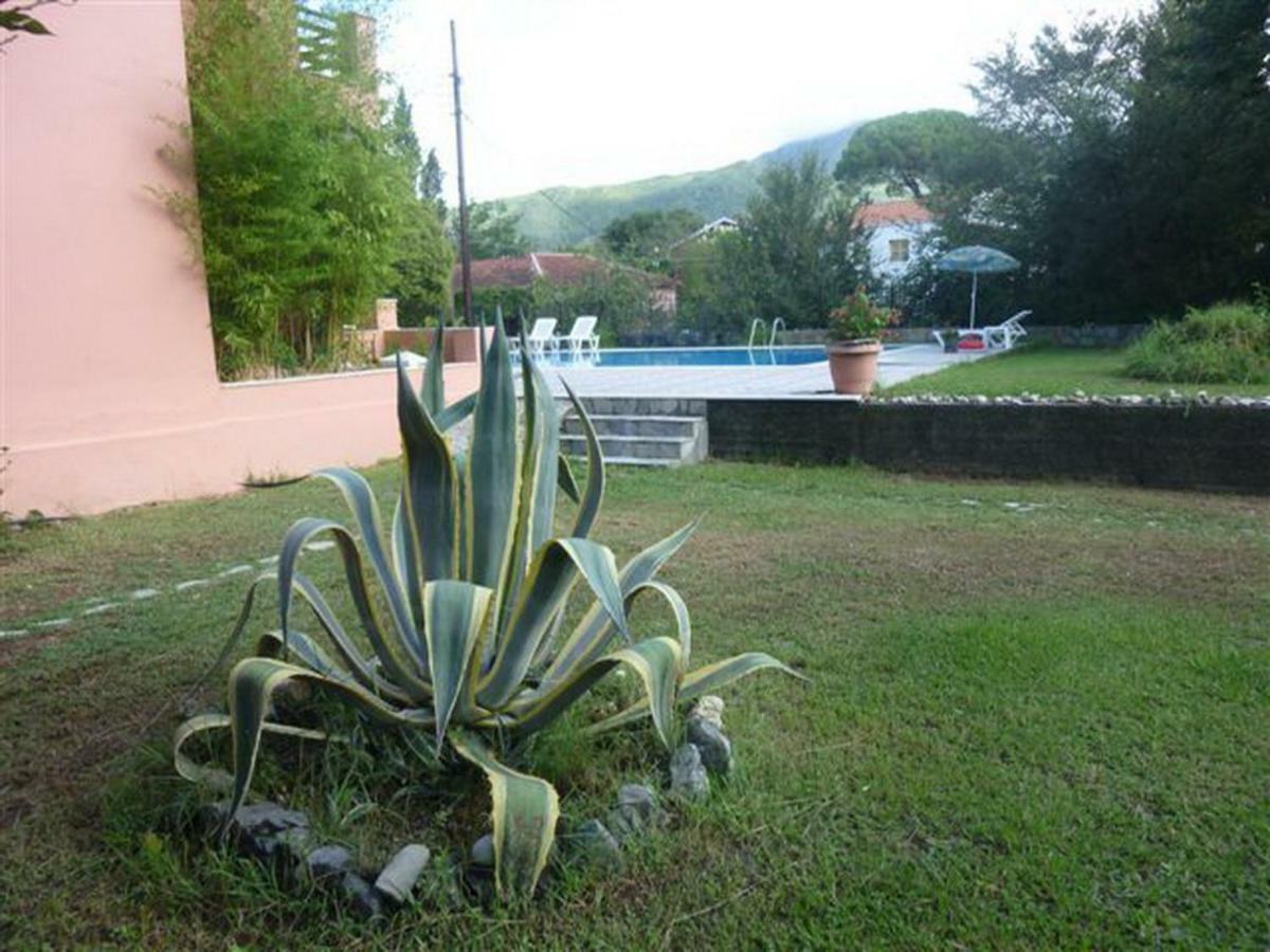Stathis Apartments Dassia  Bagian luar foto